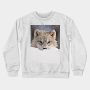 Arctic Wolf Crewneck Sweatshirt